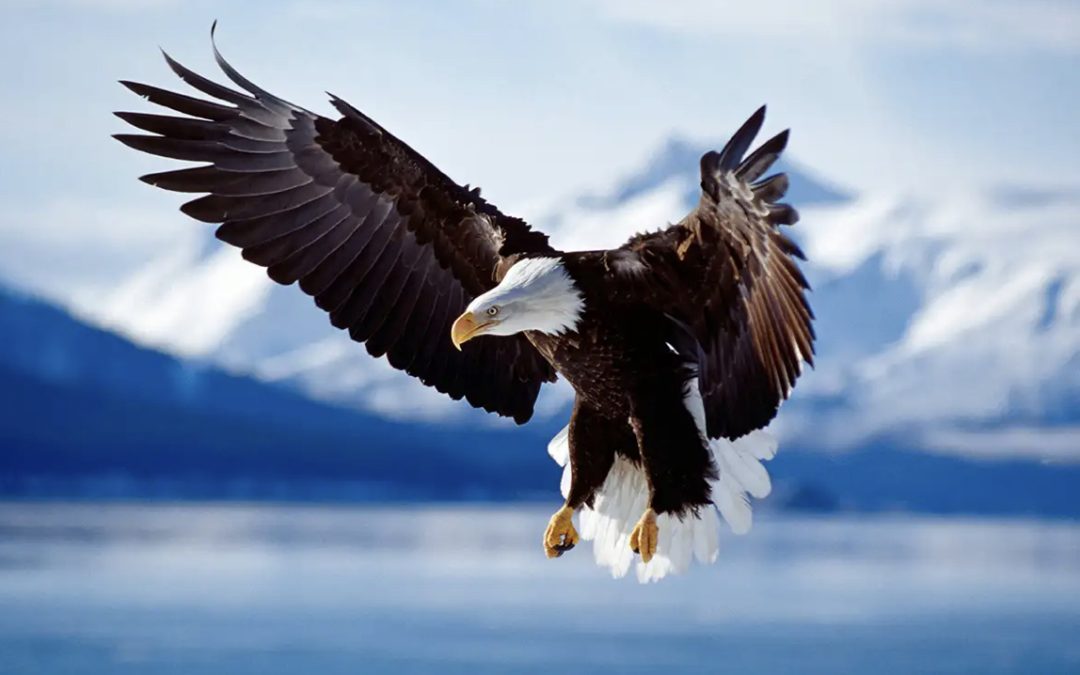 See Him who is invisible, renew your youth like the eagle